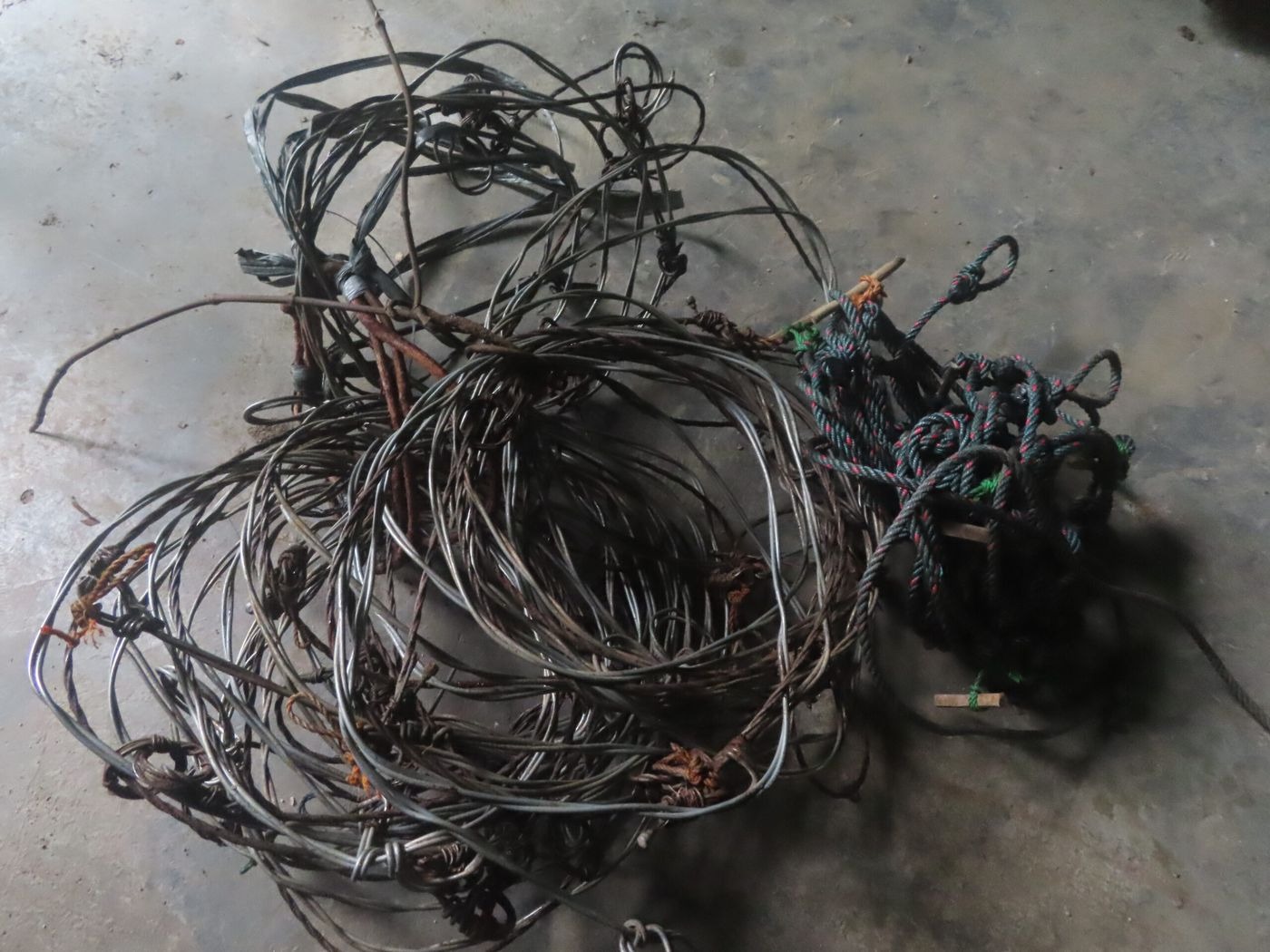 Confiscated wire snares removed from the field.